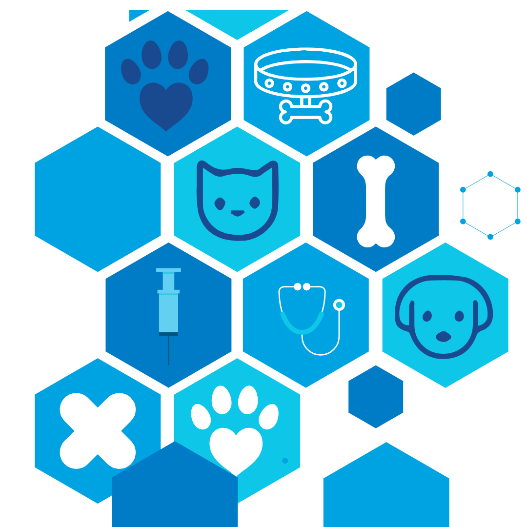 Fourways Vet Hospital — Veterinary